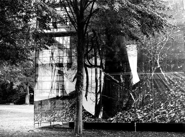  Інсталяція "Природознавство", 2018, фасад будівлі