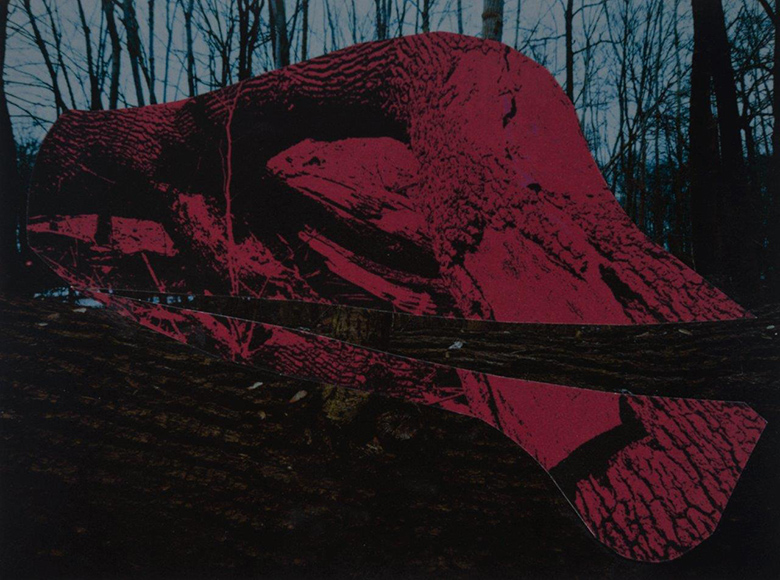 FROM THE SERIES  Resisting Interpretation, 2013